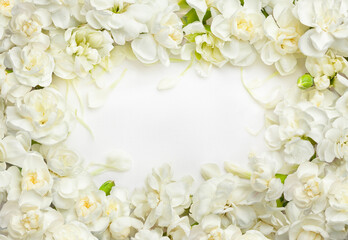 Floral frame made of White Dianthus Flowers. Top view, copy space.