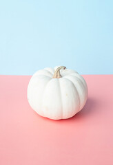 Obraz na płótnie Canvas Autumn pumpkins creative layout. Halloween or Thanksgiving holiday concept.