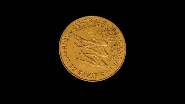 Obverse of Central Africa CFA coin 10 francs 1981, isolated in black background. 4k video