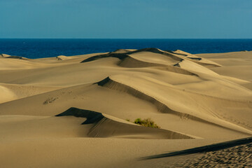 Desert dunes in Southern Las Palmas, Spain
