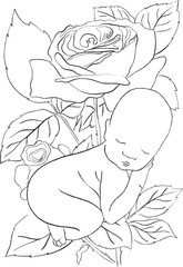 Flower's Newborn Line Arts Clipart with sleeping babies, rose, sunflower, iris, sunflower, hydrangea, tulip, lilac, magnolia and more. Perfect for baby shower, milestone cards, nursery decor