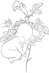 Flower's Newborn Line Arts Clipart with sleeping babies, rose, sunflower, iris, sunflower, hydrangea, tulip, lilac, magnolia and more. Perfect for baby shower, milestone cards, nursery decor
