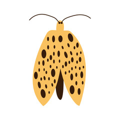 Moth icon vector. moth sign on white background. moth icon for web and app
