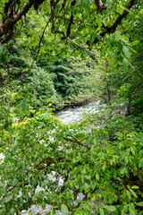 Perfect mountain views. Camlihemsin Rize.