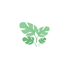 leaf illustration on white background