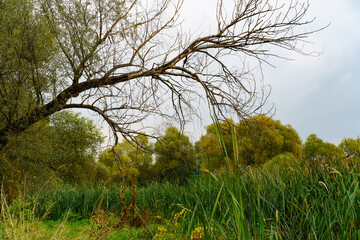Bogolyubsky Monastery of the Nativity of the Mother of God in the Suzdal district of the Vladimir region of Russia.