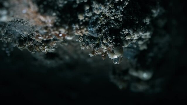 A drop falls at the entrance of the Tounjcica cave
