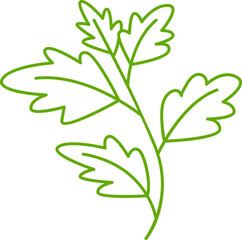leaves and branch line illustration