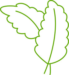 leaves and branch line illustration