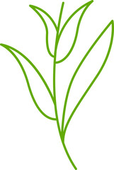 leaves and branch line illustration