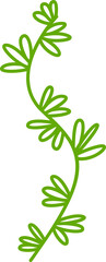 decorative leaves line illustration