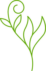 decorative leaves line illustration