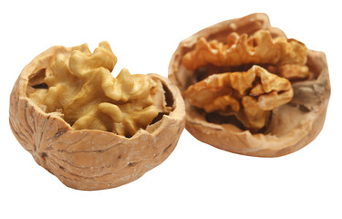 Walnut isolated