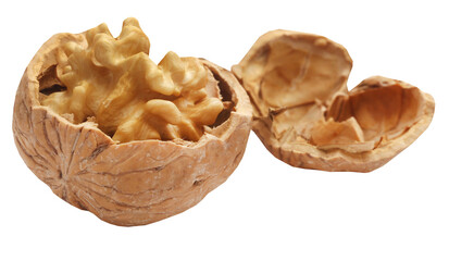 Walnut isolated