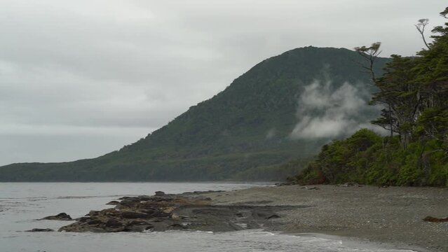 fog rising over the pacific temperate rain forest.