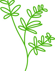 decorative leaves line illustration