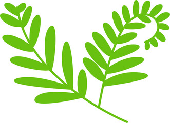 green leaves and branch illustration