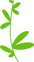 green leaves and branch illustration