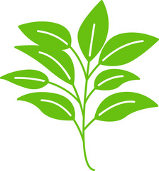 green leaves and branch illustration