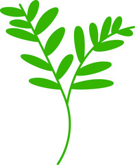 green leaves and branch illustration