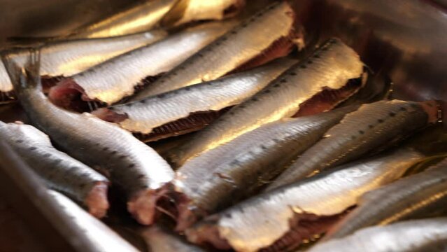 hand place the sardines in the oven pan, fish recipe video