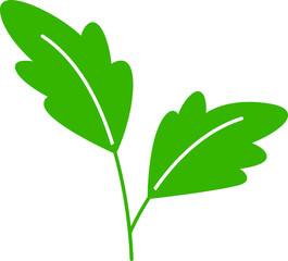 green leaves and branch illustration