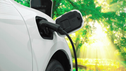 Progressive campaign to increase environmental awareness of electric car powered by renewable and...