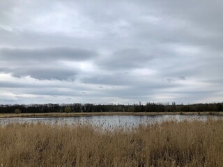Scenic view of rural landscape