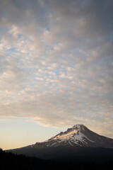 Mount Hood vertical photo