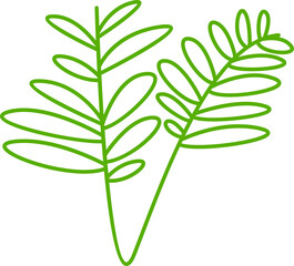 leaves and plant line illustration