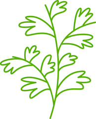 leaves and plant line illustration