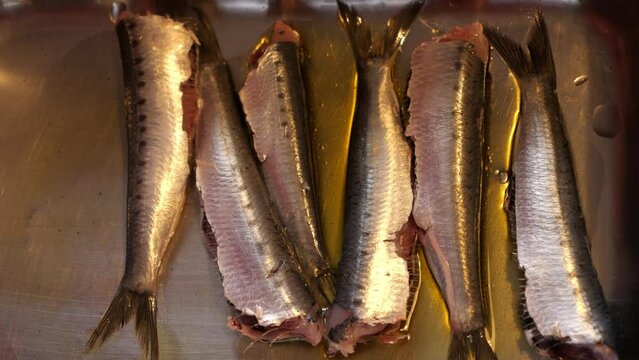hand place the sardines in the oven pan, fish recipe video