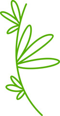 leaves and plant line illustration