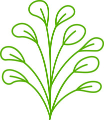 leaves and plant line illustration