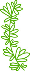 leaves and plant line illustration