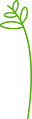 leaves and plant line illustration