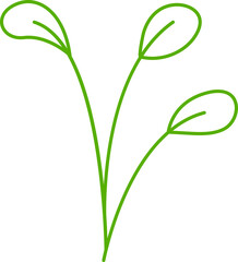 leaves and plant line illustration