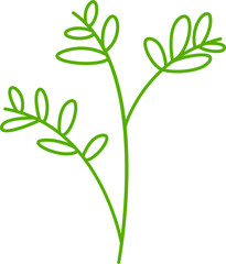 leaves and plant line illustration