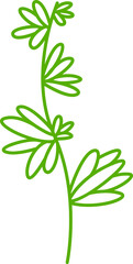 leaves and plant line illustration