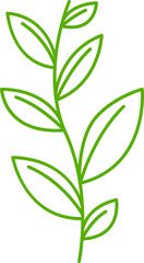 leaves and plant line illustration