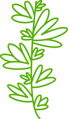 leaves and plant line illustration