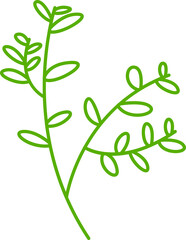 leaves and plant line illustration