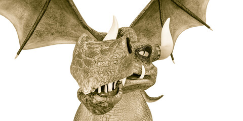 dragon cartoon front view