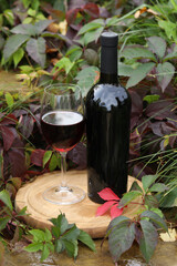 glass of red wine on wooden background with autumn leaves and bottle 