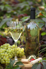 glass of white wine on wooden background with  grape