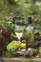 Fototapeta premium glass of white wine on wooden background with grape