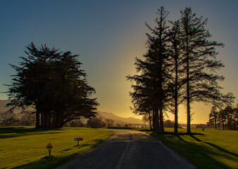 sunset in the park