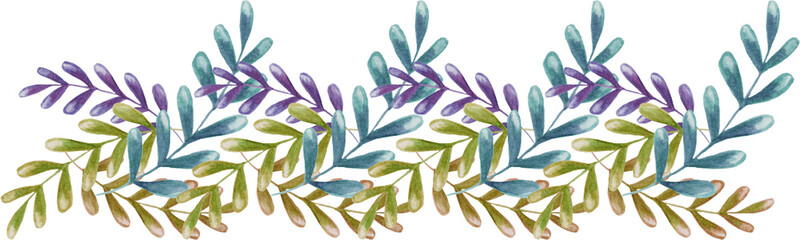 lavender flowers vector illustration