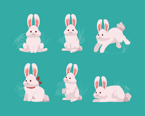 six spring rabbits