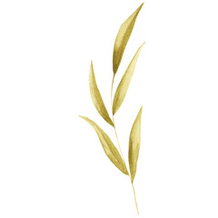 leaf on green leaves isolated on transparent background